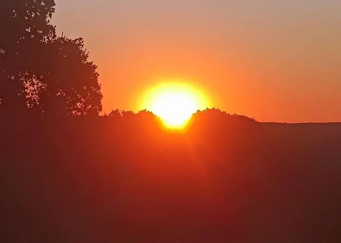 Imagio 22 * Sálakos