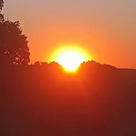 Imagio 22 * Szálakosz