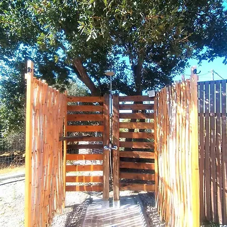 Imagio 22 Szálakosz