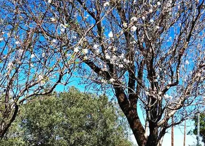 Imagio 22 Vakantiehuis